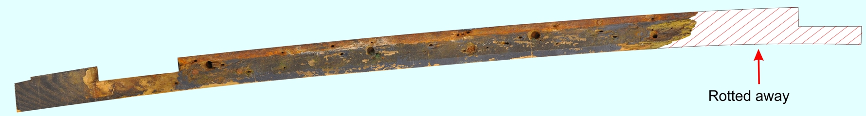 Rotten door rocker